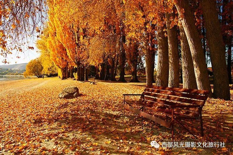为什么我总是和别人不合群知乎